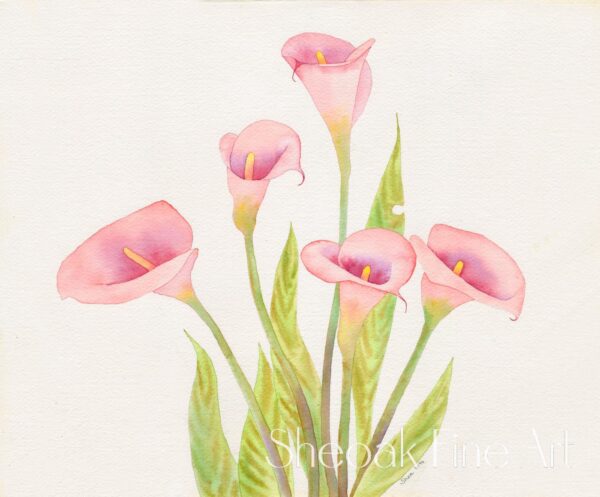 Pink Lillies