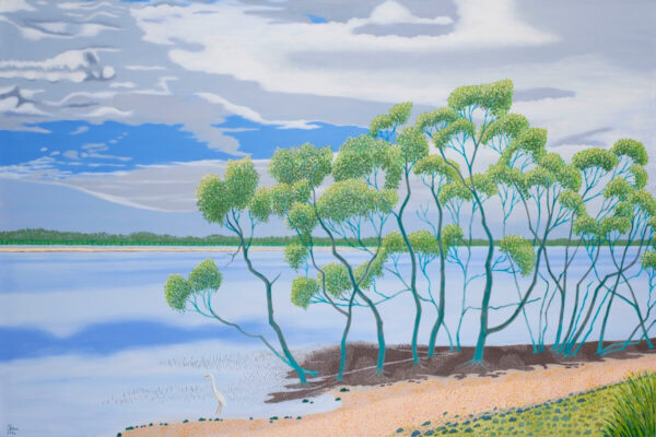 Mangroves on the River at Urunga