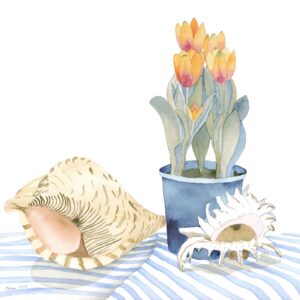 Tulips and Shells