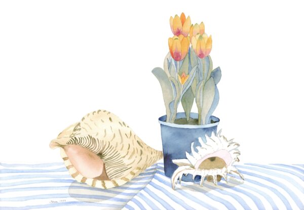 Tulips and Shells