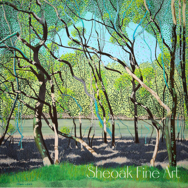 Mangroves on Coffs Creek